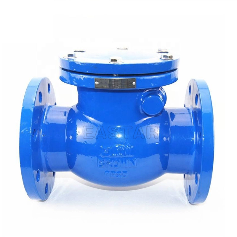 Stainless Steel Ductile Iron Globe Swing Check Valve Industrial Valve with UL CE SA TUV Upc Acs ISO9001