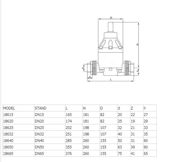 Plastic PVC PP Pph PVDF CPVC UPVC Flange Foot Valve Gate Valve Globe Valve Safety Valve Pressure Reduce Valve Air Vent Valve of Pn10 BS Cns ANSI Cl150 DIN JIS