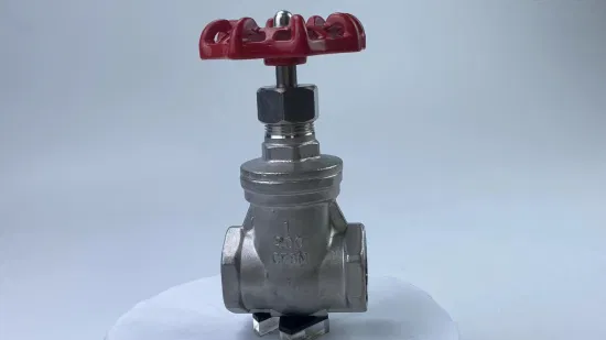 Stainless Steel NPT/BSPT/BSPP Non Rising Thread Water Gate Valve